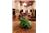 Casa Amapas - 5BR Home