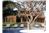 Casa Canela - 5BR/7.5BA