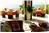 Casa Do Re Mi - 3BR Home