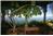 Casa Tres Vidas - 10BR Home