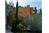 Casa del Oso - 3BR Home