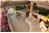 Casa Brisa del Mar - 4BR Home