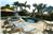 Casa Sun Guadalupe - 3BR Home