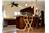 Tooker Villa La Jolla de Los Cabo - 6BR Home + Pool
