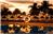 Dreams Tulum Resort & Spa - Junior Suite (1BR Suite) Ocean View