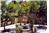 Beach House - 6BR Home + Pool