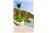 Villa Del Palmar Cancun - Deluxe Suite Single Occupancy Ocean View + All-Inclusive King