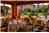 Pueblo Bonito - Mazatlan - Luxury (Suite) Ocean View