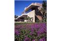 Rancho - 7BR Home Ocean Front + Private Pool #7