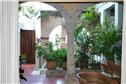 Casa Tres Vidas - Vida Sol and Mar - 7BR Home