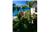 Estrella Mar - 7BR Home + Private Pool