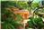 Estrella Mar - 7BR Home + Private Pool