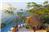 Villa Mandarinas - 8BR Home