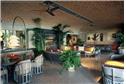 Beachfront Estate - 11BR Home + Private Pool